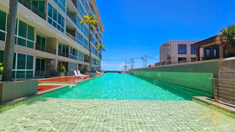 ขาย - Musselana : มัสเซลลาน่า, ชลบุรี