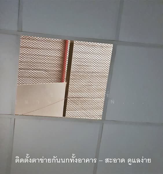 ถนนประชาอุทิศ-คู่สร้าง, สมุทรปราการ, ประชาอุทิศ-คู่สร้าง, ในคลองบางปลากด, พระสมุทรเจดีย์, สมุทรปราการ, 709 ตร.ม., โกดัง-โรงงาน ขาย, โดย วินเนอร์ [แว่น].[Jennie], 500148821 - DDproperty.com