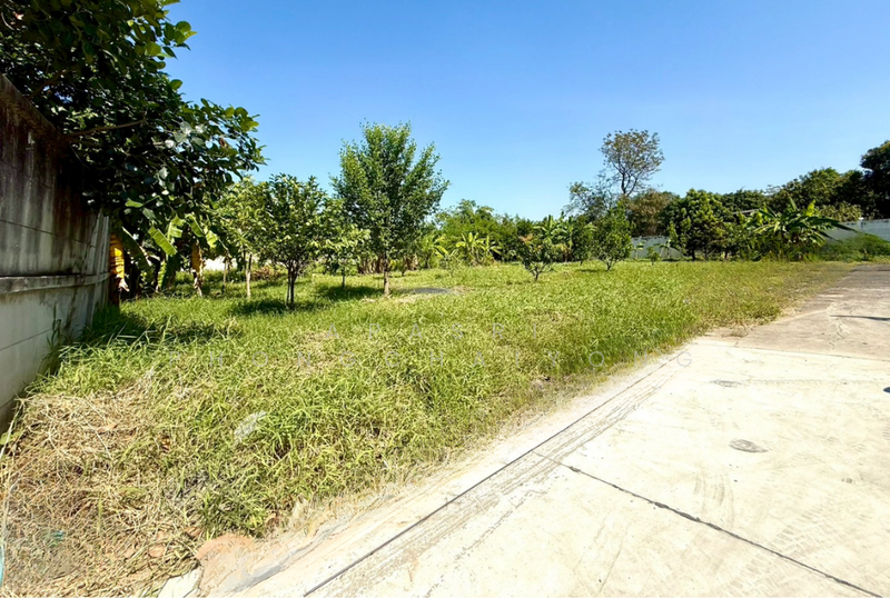 ที่ดิน พรานนก - พุทธมณฑล สาย4, กรุงเทพ, พรานนก - พุทธมณฑลสาย 4, ทวีวัฒนา, ทวีวัฒนา, กรุงเทพ, 1,000 ตร.ม., ที่ดิน ขาย, โดย Apasri Phongchaiyong, 500148831 - DDproperty.com