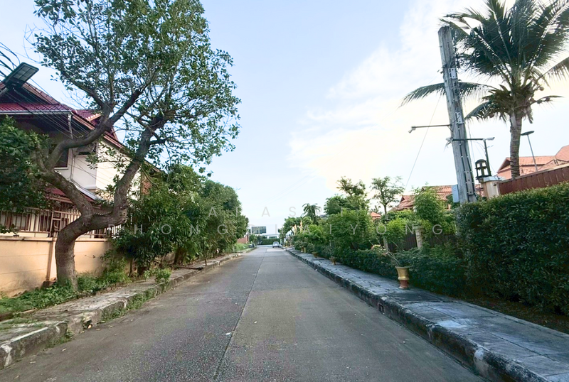 ที่ดิน พรานนก - พุทธมณฑล สาย4, กรุงเทพ, พรานนก - พุทธมณฑลสาย 4, ทวีวัฒนา, ทวีวัฒนา, กรุงเทพ, 1,000 ตร.ม., ที่ดิน ขาย, โดย Apasri Phongchaiyong, 500148831 - DDproperty.com
