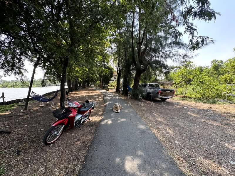 นวมินทร์ 24, กรุงเทพ, นวมินทร์ 24, คลองกุ่ม, บึงกุ่ม, กรุงเทพ, 832 ตร.ม., ที่ดิน ขาย, โดย Jeerapat Charoenthanachot, 500148835 - DDproperty.com