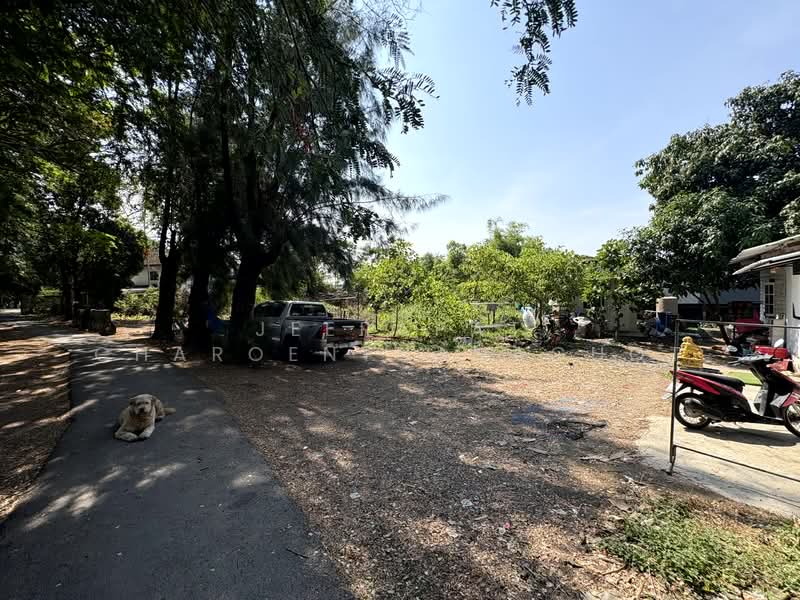 นวมินทร์ 24, กรุงเทพ, นวมินทร์ 24, คลองกุ่ม, บึงกุ่ม, กรุงเทพ, 832 ตร.ม., ที่ดิน ขาย, โดย Jeerapat Charoenthanachot, 500148835 - DDproperty.com