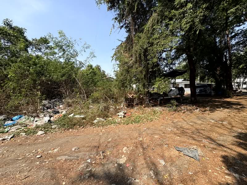 นวมินทร์ 24, กรุงเทพ, นวมินทร์ 24, คลองกุ่ม, บึงกุ่ม, กรุงเทพ, 832 ตร.ม., ที่ดิน ขาย, โดย Jeerapat Charoenthanachot, 500148835 - DDproperty.com