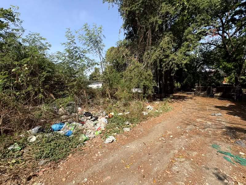 นวมินทร์ 24, กรุงเทพ, นวมินทร์ 24, คลองกุ่ม, บึงกุ่ม, กรุงเทพ, 832 ตร.ม., ที่ดิน ขาย, โดย Jeerapat Charoenthanachot, 500148835 - DDproperty.com