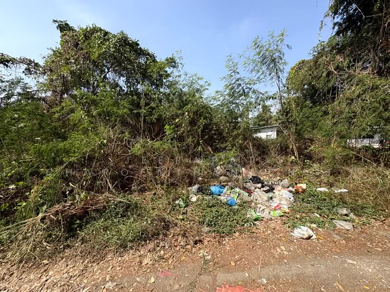 นวมินทร์ 24, กรุงเทพ, นวมินทร์ 24, คลองกุ่ม, บึงกุ่ม, กรุงเทพ, 832 ตร.ม., ที่ดิน ขาย, โดย Jeerapat Charoenthanachot, 500148835 - DDproperty.com