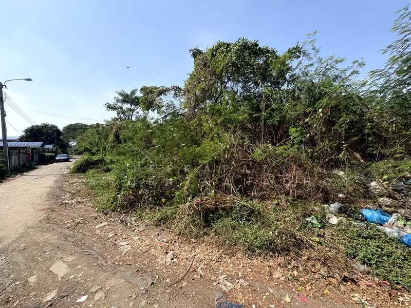 นวมินทร์ 24, กรุงเทพ, นวมินทร์ 24, คลองกุ่ม, บึงกุ่ม, กรุงเทพ, 832 ตร.ม., ที่ดิน ขาย, โดย Jeerapat Charoenthanachot, 500148835 - DDproperty.com