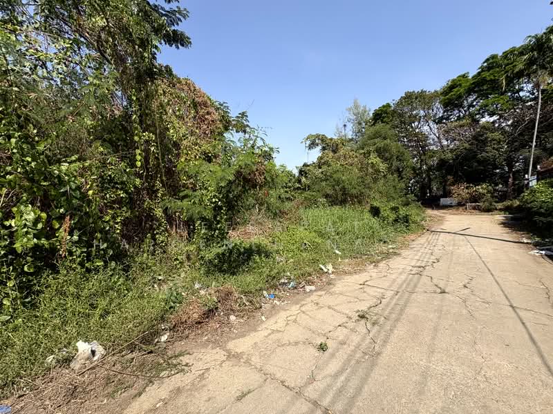 นวมินทร์ 24, กรุงเทพ, นวมินทร์ 24, คลองกุ่ม, บึงกุ่ม, กรุงเทพ, 832 ตร.ม., ที่ดิน ขาย, โดย Jeerapat Charoenthanachot, 500148835 - DDproperty.com