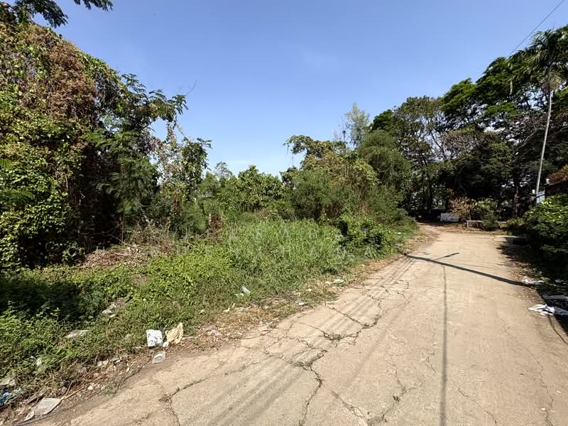 นวมินทร์ 24, กรุงเทพ, นวมินทร์ 24, คลองกุ่ม, บึงกุ่ม, กรุงเทพ, 832 ตร.ม., ที่ดิน ขาย, โดย Jeerapat Charoenthanachot, 500148835 - DDproperty.com