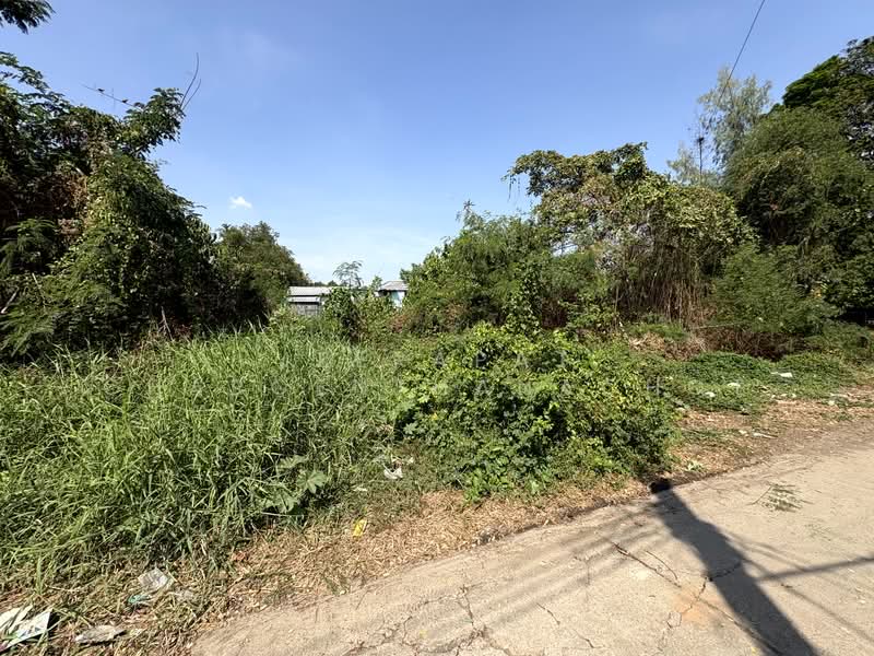 นวมินทร์ 24, กรุงเทพ, นวมินทร์ 24, คลองกุ่ม, บึงกุ่ม, กรุงเทพ, 832 ตร.ม., ที่ดิน ขาย, โดย Jeerapat Charoenthanachot, 500148835 - DDproperty.com