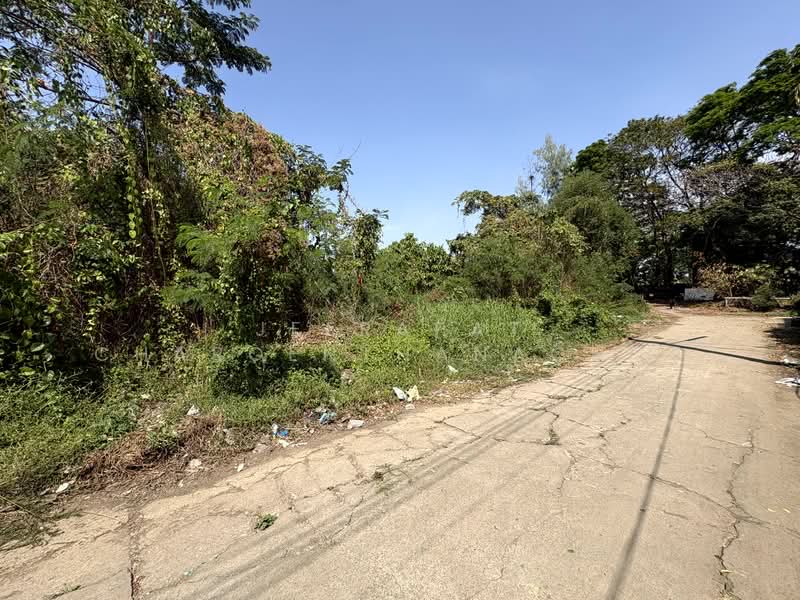 นวมินทร์ 24, กรุงเทพ, นวมินทร์ 24, คลองกุ่ม, บึงกุ่ม, กรุงเทพ, 832 ตร.ม., ที่ดิน ขาย, โดย Jeerapat Charoenthanachot, 500148835 - DDproperty.com