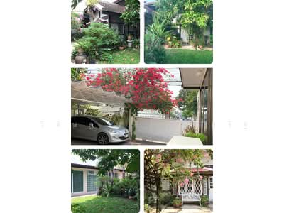 ขาย - ขายบ้านเดี่ยว ทำเลซอยรัชดาภิเษก 52 รัชวิภา ทางด่วนศรีรัช, กรุงเทพ