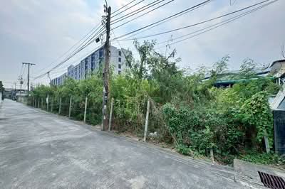 ขาย - ขายที่ดิน 242ตร.ว. สุขุมวิท 105 (ลาซาล 59) บางนา ใกล้ BTS ลาซาล, กรุงเทพ