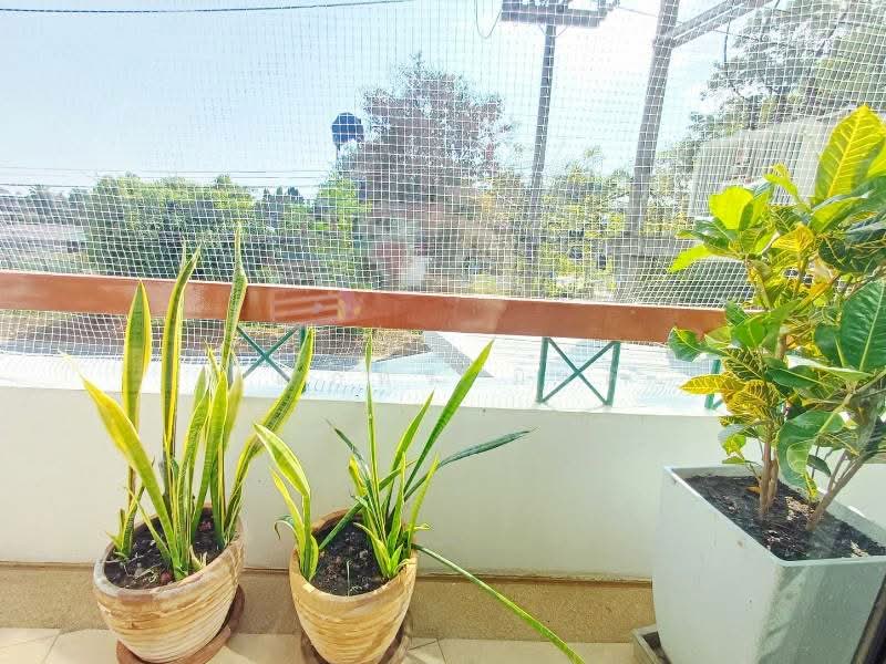 Baan Karnkanok 3, Chiang Mai, Chang Phuak, Muang Chiang Mai, Chiang Mai, Studio, 29 sqm, Condo For Rent, by วุฒิภัทร มิ่งคำ, 500148908 - DDproperty.com