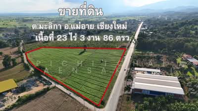 ขาย - ขายที่ดิน ต.มะลิกา อ.แม่อาย เชียงใหม่, เชียงใหม่