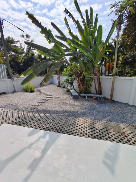 Newly Renovated Detached House, Beautiful & Peaceful Atmosphere., Chiang Mai, San Sai Noi, San Sai, Chiang Mai, 3 Bedrooms, 200 sqm, Single Detached House For Rent, by The Positive Living, 500148979 - DDproperty.com