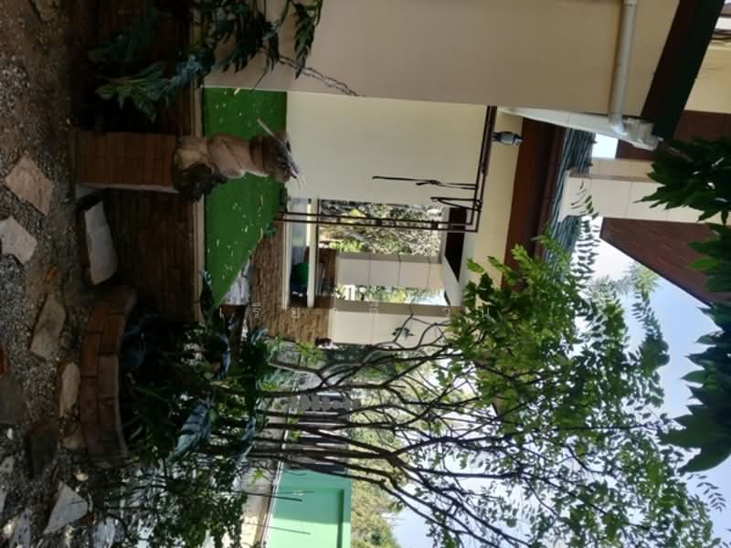 บ้านเดี่ยวขนาดใหญ่ สร้างเอง ดีไซน์เอง ใส่ใจทุกรายละเอียด, Bangkok, Chim Plee, Taling Chan, Bangkok, 3 Bedrooms, 370 sqm, Single Detached House For Sale, by เรียลตี้ วัน, 500149025 - DDproperty.com