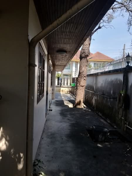 บ้านเดี่ยวขนาดใหญ่ สร้างเอง ดีไซน์เอง ใส่ใจทุกรายละเอียด, กรุงเทพ, ฉิมพลี, ตลิ่งชัน, กรุงเทพ, 370 ตร.ม., บ้านเดี่ยว ขาย, โดย เรียลตี้ วัน, 500149025 - DDproperty.com