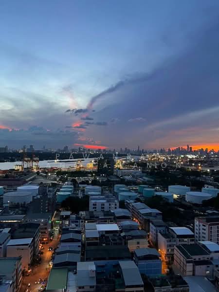 Modiz Sukhumvit 50, Bangkok, Soi Sukhumvit 50, Phra Kanong, Khlong Toei, Bangkok, 1 Bedroom, 42 sqm, Condo For Rent, by Pawanrat Panchawanon, 500149026 - DDproperty.com