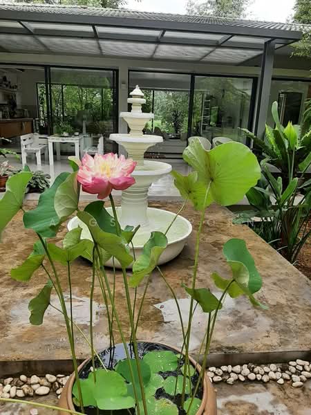 บ้านพักตากอากาศ ริมน้ำ สวย เวียงชัย เชียงราย, เชียงราย, เวียงชัย, เวียงชัย, เชียงราย, 150 ตร.ม., บ้านเดี่ยว ขาย, โดย Angsanaporn D, 500149061 - DDproperty.com