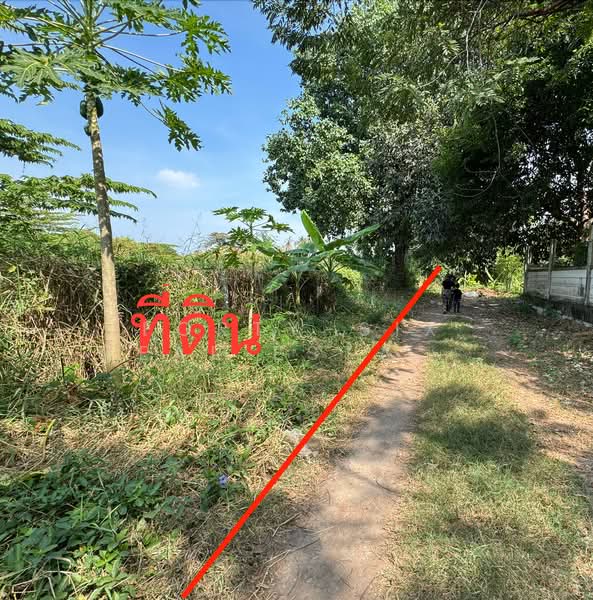 For Sale - ขายที่ดินเปล่า ถ.พระราม2ซอย25 ใกล้รพ.บางกอก9 รพ.บางมด เซ็นทรัลพระราม2 บิ๊กซี ทางด่วน, Bangkok