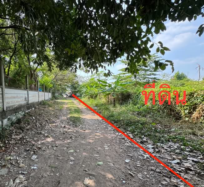 For Sale - ขายที่ดินเปล่า ถ.พระราม2ซอย25 ใกล้รพ.บางกอก9 รพ.บางมด เซ็นทรัลพระราม2 บิ๊กซี ทางด่วน, Bangkok