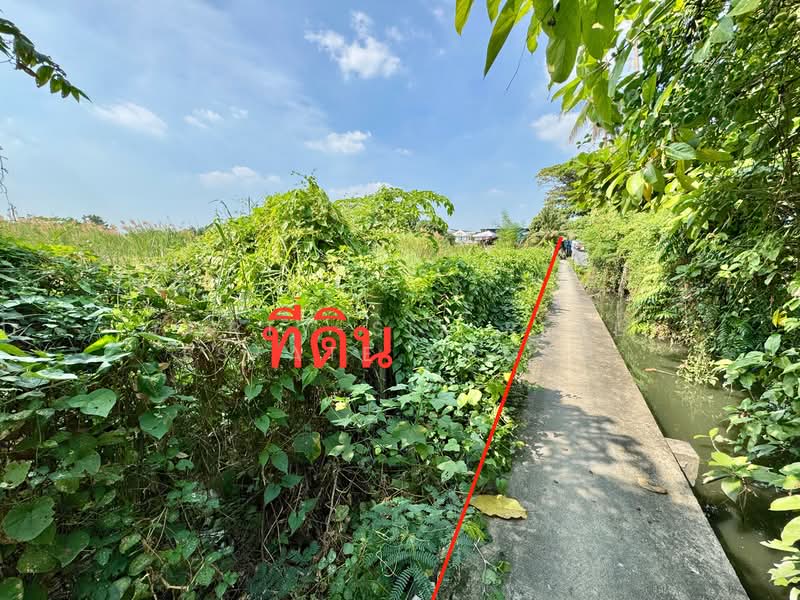 For Sale - ขายที่ดินเปล่า ถ.พระราม2ซอย25 ใกล้รพ.บางกอก9 รพ.บางมด เซ็นทรัลพระราม2 บิ๊กซี ทางด่วน, Bangkok