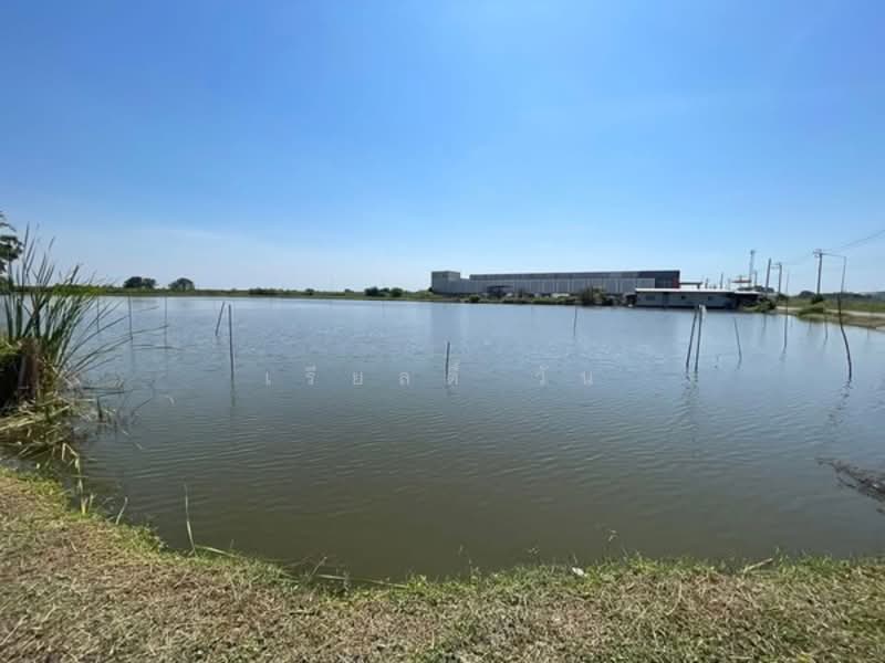 ขายที่ดิน บางปลา (คลอง7) สมุทรปราการ (ต.บางปลา อ.บางพลี สมุทรปราการ) ขนาด 101 ตรว ติดถนน, สมุทรปราการ, บางปลา, บางพลี, สมุทรปราการ, 404 ตร.ม., ที่ดิน ขาย, โดย เรียลตี้ วัน, 500149091 - DDproperty.com