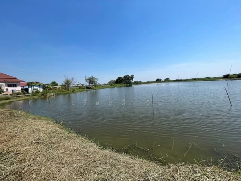 ขายที่ดิน บางปลา (คลอง7) สมุทรปราการ (ต.บางปลา อ.บางพลี สมุทรปราการ) ขนาด 101 ตรว ติดถนน, สมุทรปราการ, บางปลา, บางพลี, สมุทรปราการ, 404 ตร.ม., ที่ดิน ขาย, โดย เรียลตี้ วัน, 500149091 - DDproperty.com