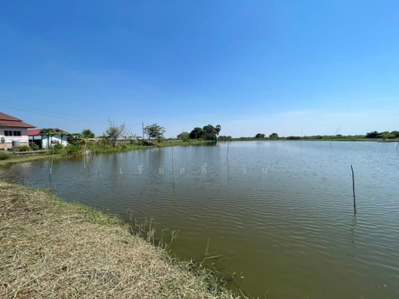 ขายที่ดิน บางปลา (คลอง7) สมุทรปราการ (ต.บางปลา อ.บางพลี สมุทรปราการ) ขนาด 101 ตรว ติดถนน, สมุทรปราการ, บางปลา, บางพลี, สมุทรปราการ, 404 ตร.ม., ที่ดิน ขาย, โดย เรียลตี้ วัน, 500149091 - DDproperty.com