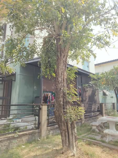 For Sale - กัสโต้ เทพารักษ์, Samut Prakan