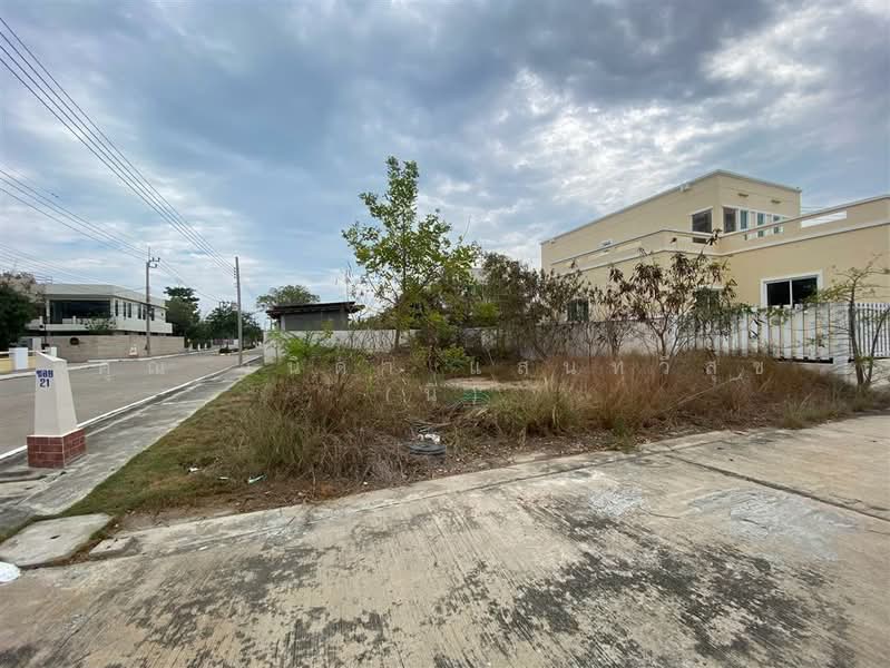 ที่ดินเปล่า 70.4 ตร.ว. ที่ดิน โครงการ180 องศา บางปู บีชเฮาส์, Samut Prakan, Bang Pu, Muang Samut Prakarn, Samut Prakan, , 280 sqm, Land For Sale, by คุณ วนิดา แสนทวีสุข (นิ), 500149225 - DDproperty.com