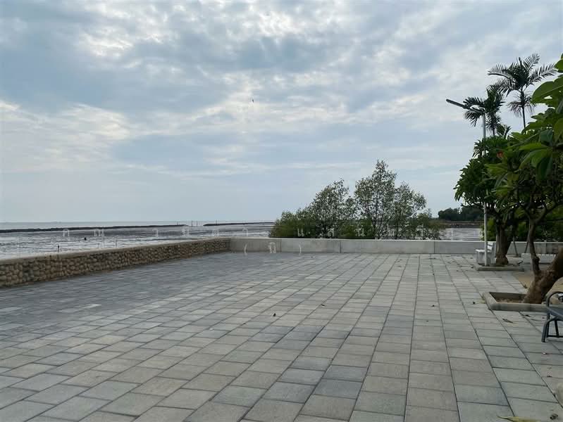 ที่ดินเปล่า 70.4 ตร.ว. ที่ดิน โครงการ180 องศา บางปู บีชเฮาส์, Samut Prakan, Bang Pu, Muang Samut Prakarn, Samut Prakan, , 280 sqm, Land For Sale, by คุณ วนิดา แสนทวีสุข (นิ), 500149225 - DDproperty.com