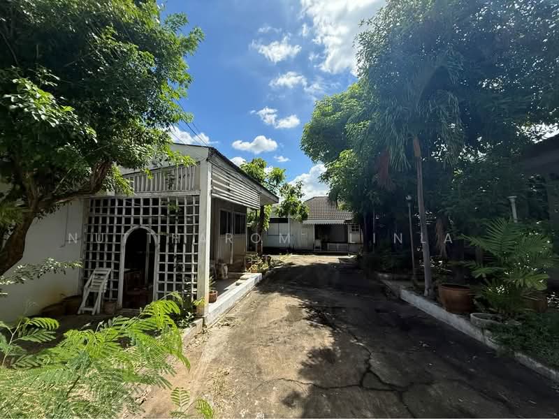 6-BR House, Bangkok, Samsen Nai, Phaya Thai, Bangkok, 6 Bedrooms, 365 sqm, Single Detached House For Sale, by Nuttharom  Linla , 500149296 - DDproperty.com