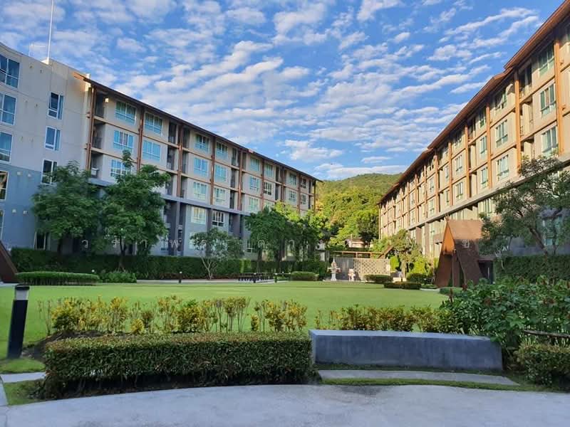 Dcondo Campus Resort Chiang Mai, Chiang Mai, Suthep, Su Thep, Muang Chiang Mai, Chiang Mai, Studio, 30 sqm, Condo For Sale, by วราพร ตางจงราช, 500149341 - DDproperty.com