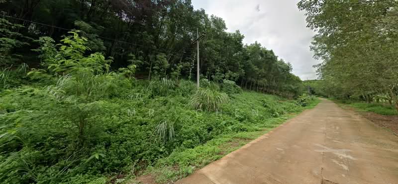 ไม่พบโครงการ, Chiang Rai, -, Tha Kao Pluak, Mae Chan, Chiang Rai, , 1,305,256 sqm, Land For Sale, by Panuwat Jinanan, 500149423 - DDproperty.com