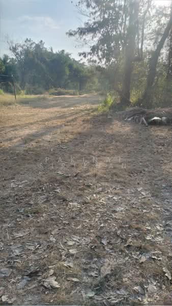 ที่ดินสวย พุหวาย ชะอำ เพชรบุรี, Phetchaburi, Huai Sai Nua, Cha-Am, Phetchaburi, , 2,000 sqm, Land For Sale, by Pakinai Sirikhan, 500149463 - DDproperty.com