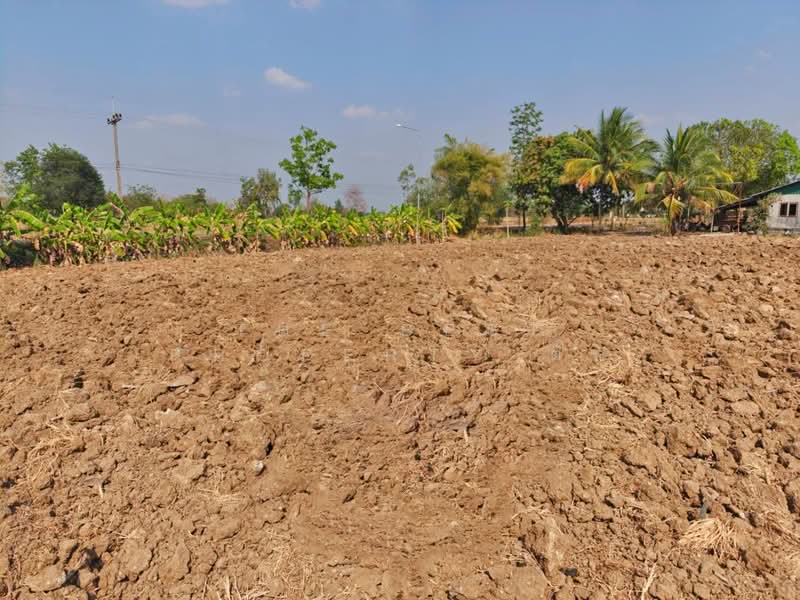 ที่ดินศรีเทพ เพชรบูรณ์, Phetchabun, Khok Sa-at, Si Thep, Phetchabun, , 16,000 sqm, Land For Sale, by The Best Property ตั๊ก, 500149473 - DDproperty.com