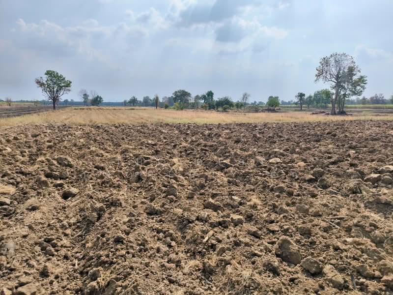 ที่ดินศรีเทพ เพชรบูรณ์, Phetchabun, Khok Sa-at, Si Thep, Phetchabun, , 16,000 sqm, Land For Sale, by The Best Property ตั๊ก, 500149473 - DDproperty.com