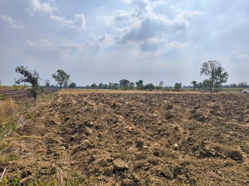 ที่ดินศรีเทพ เพชรบูรณ์, Phetchabun, Khok Sa-at, Si Thep, Phetchabun, , 16,000 sqm, Land For Sale, by The Best Property ตั๊ก, 500149473 - DDproperty.com
