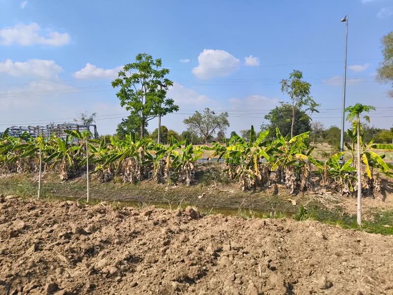 ที่ดินศรีเทพ เพชรบูรณ์, เพชรบูรณ์, โคกสะอาด, ศรีเทพ, เพชรบูรณ์, 16,000 ตร.ม., ที่ดิน ขาย, โดย The Best Property ตั๊ก, 500149473 - DDproperty.com