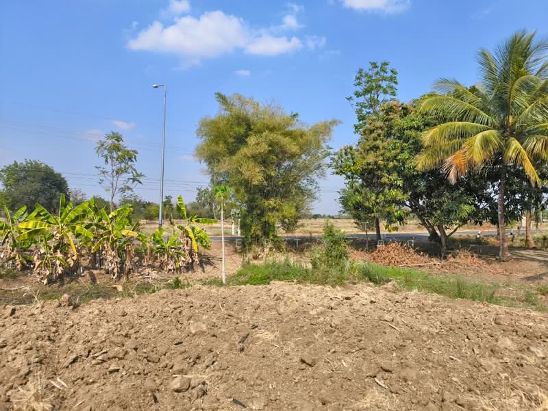 ที่ดินศรีเทพ เพชรบูรณ์, เพชรบูรณ์, โคกสะอาด, ศรีเทพ, เพชรบูรณ์, 16,000 ตร.ม., ที่ดิน ขาย, โดย The Best Property ตั๊ก, 500149473 - DDproperty.com