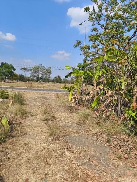 ที่ดินศรีเทพ เพชรบูรณ์, Phetchabun, Khok Sa-at, Si Thep, Phetchabun, , 16,000 sqm, Land For Sale, by The Best Property ตั๊ก, 500149473 - DDproperty.com