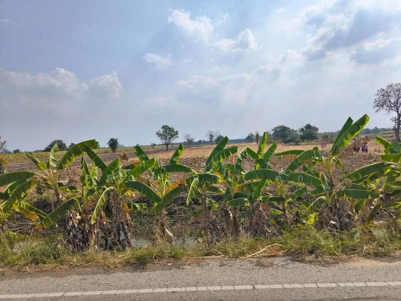 ที่ดินศรีเทพ เพชรบูรณ์, Phetchabun, Khok Sa-at, Si Thep, Phetchabun, , 16,000 sqm, Land For Sale, by The Best Property ตั๊ก, 500149473 - DDproperty.com