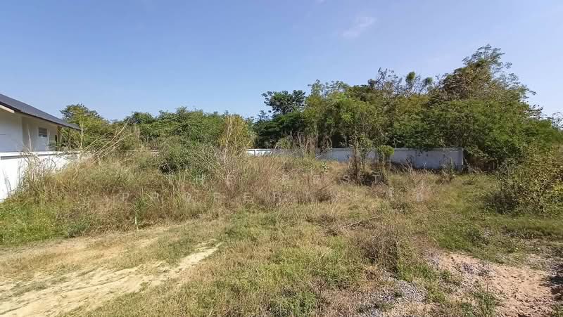 For Sale - ที่ดินหนองปลิง นครสวรรค์, Nakhon Sawan