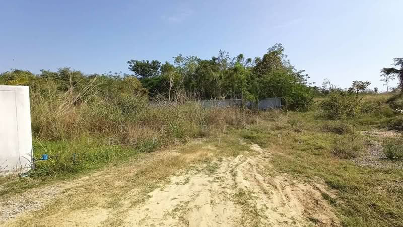 For Sale - ที่ดินหนองปลิง นครสวรรค์, Nakhon Sawan