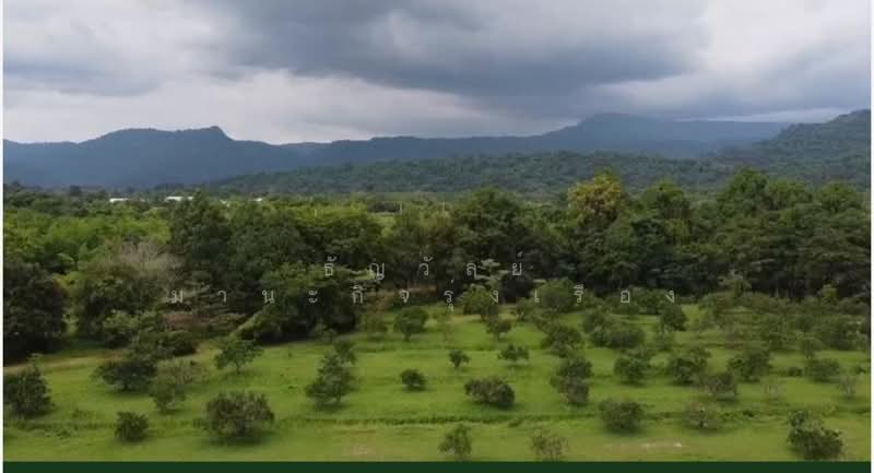 นครนายก, Nakhon Nayok, Nakhon Nayok, Muang Nakhon Nayok, Nakhon Nayok, , 136,000 sqm, Land For Sale, by ธัญวัลย์ มานะกิจรุ่งเรือง, 500149584 - DDproperty.com