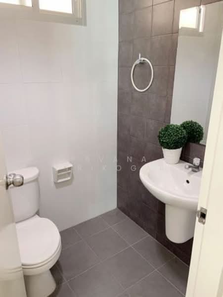 ให้เช่า - My Condo Sukhumvit 52 : มายคอนโด สุขุมวิท 52, กรุงเทพ