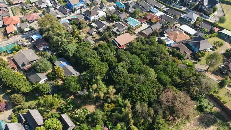 920211008-102, เชียงใหม่, ริมใต้, แม่ริม, เชียงใหม่, 5,204 ตร.ม., ที่ดิน ขาย, โดย เอมิล ไวซ์, 500149812 - DDproperty.com