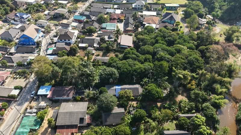 920211008-102, เชียงใหม่, ริมใต้, แม่ริม, เชียงใหม่, 5,204 ตร.ม., ที่ดิน ขาย, โดย เอมิล ไวซ์, 500149812 - DDproperty.com