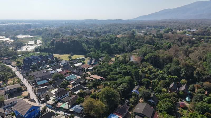 Rim Tai, Chiang Mai, Rim Tai, Mae Rim, Chiang Mai, , 5,204 sqm, Land For Sale, by เอมิล ไวซ์, 500149812 - DDproperty.com